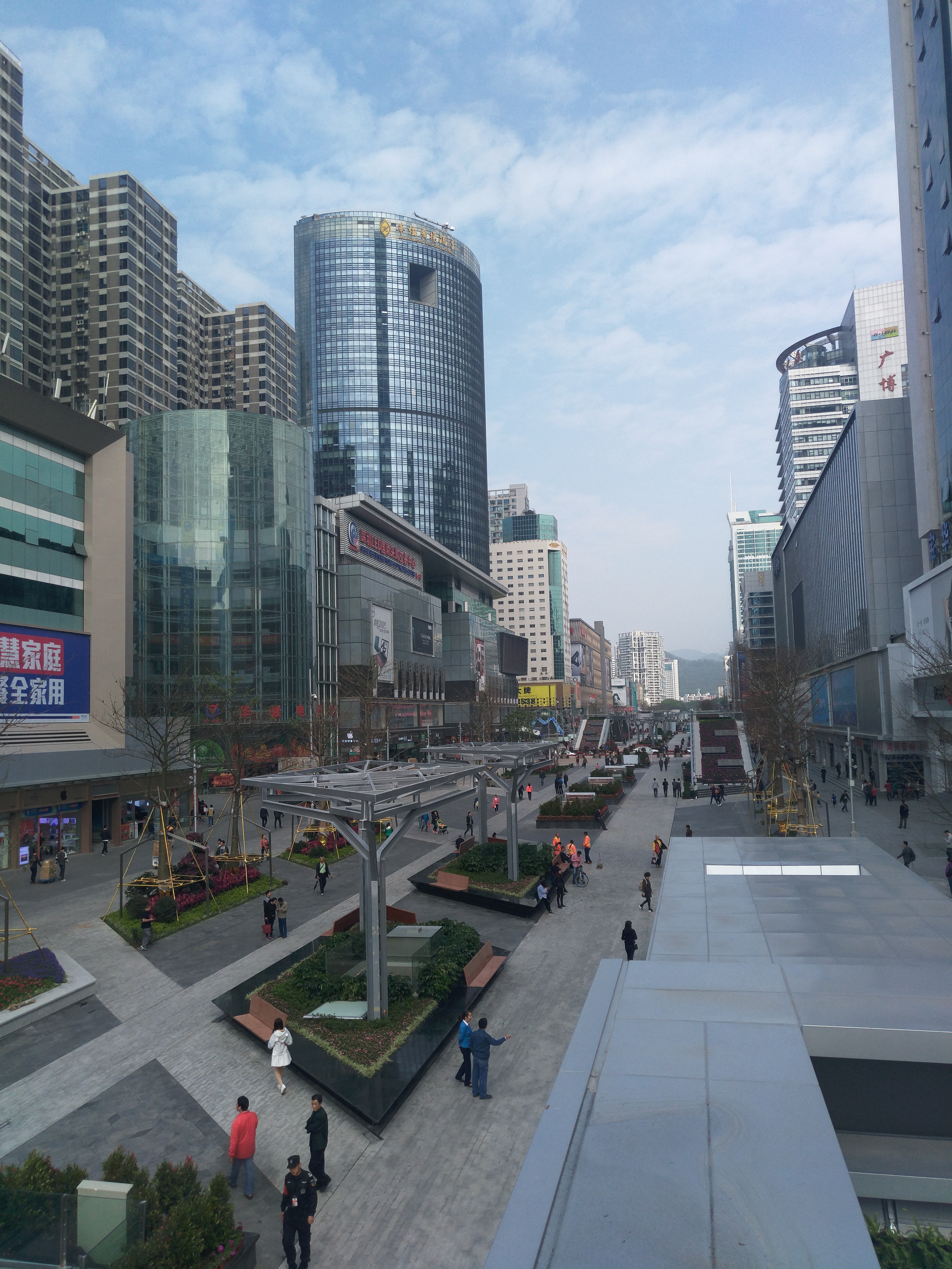 SEG Electronics Plaza