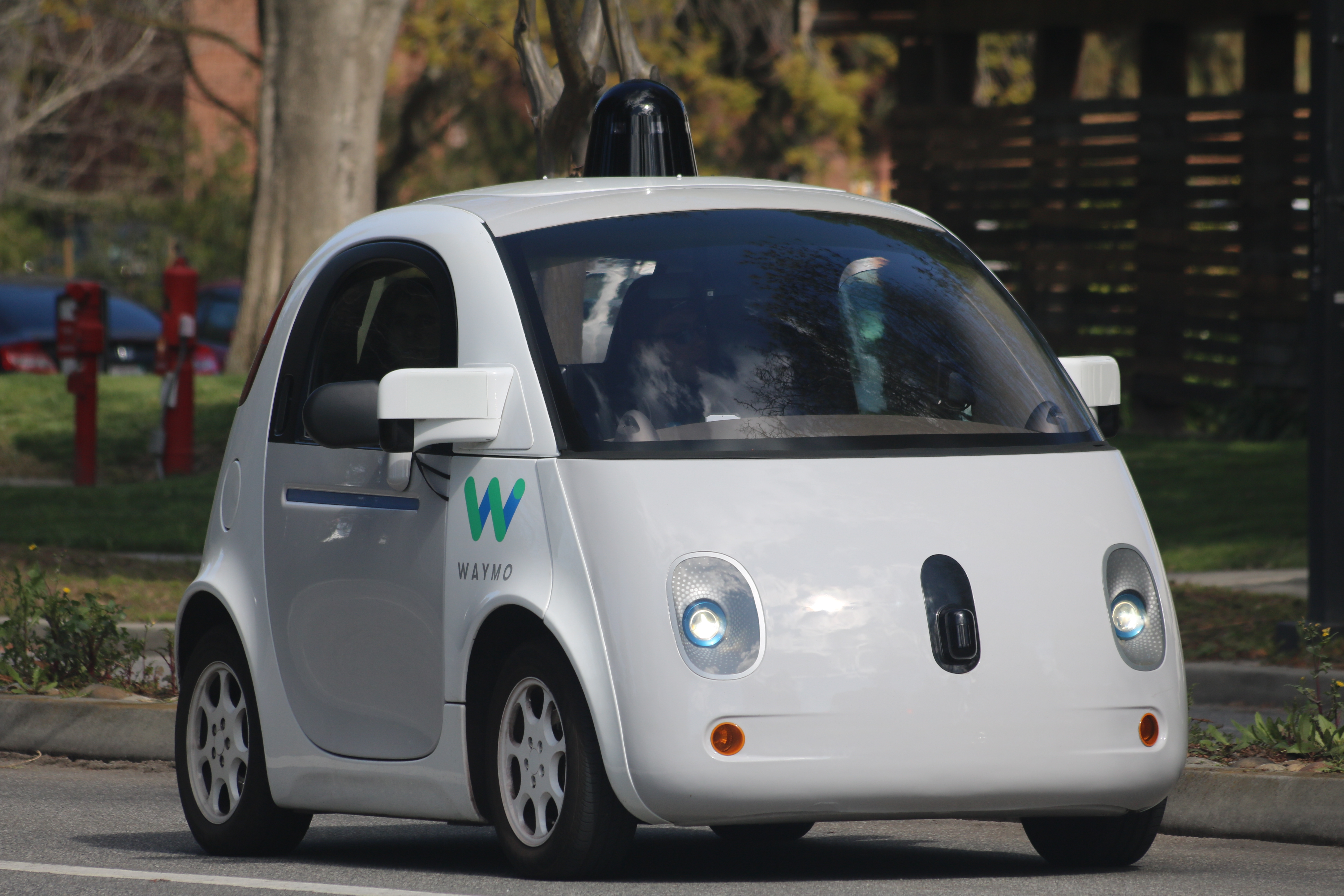 Robotaxi Ride